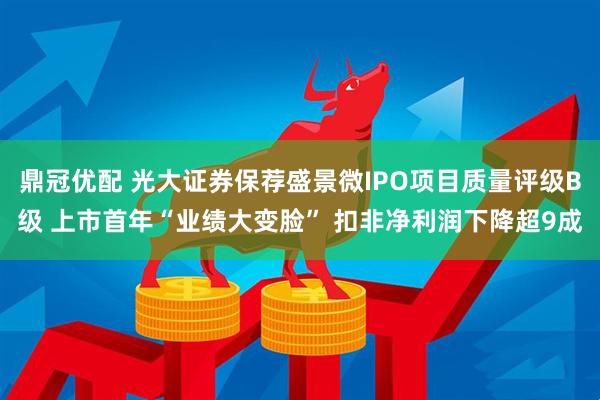 鼎冠优配 光大证券保荐盛景微IPO项目质量评级B级 上市首年“业绩大变脸” 扣非净利润下降超9成